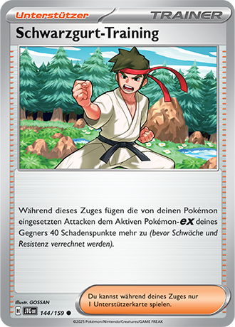 Pokémon Reisegefährten Trainerkarten nach Wahl (DE)