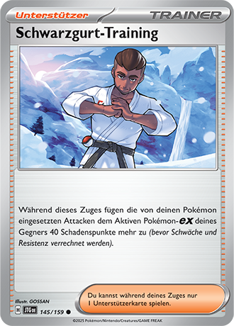 Pokémon Reisegefährten Trainerkarten nach Wahl (DE)
